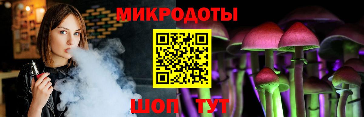 Сунжа  Псилоцибиновые грибы Psilocybine cubensis  как найти закладки  Вход с VPN 